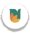 Aadhar Housing Finance